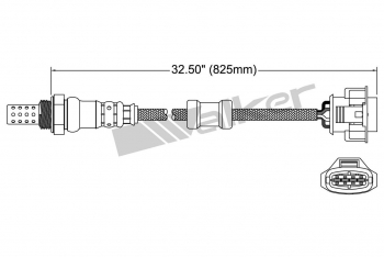 Oxygen Sensor