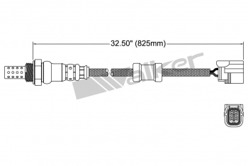 Oxygen Sensor
