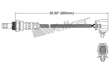 Oxygen Sensor