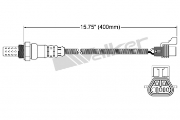 Oxygen Sensor