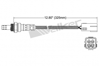 Oxygen Sensor
