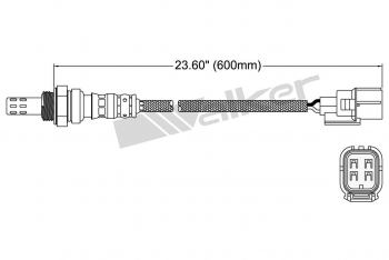 Oxygen Sensor