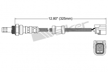 Oxygen Sensor