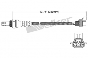 Oxygen Sensor