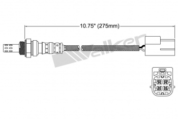 Oxygen Sensor