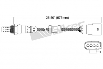 Oxygen Sensor
