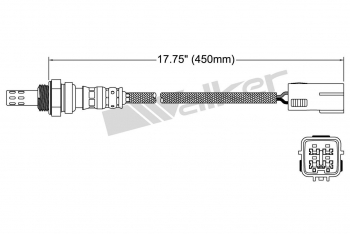 Oxygen Sensor