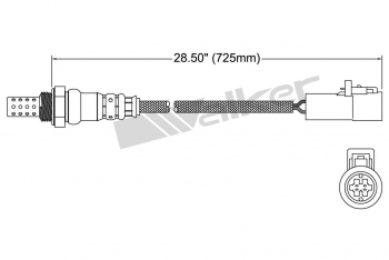 Oxygen Sensor