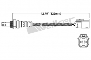 Oxygen Sensor
