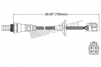 Oxygen Sensor
