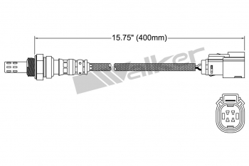 Oxygen Sensor