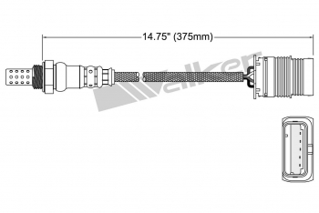 Oxygen Sensor