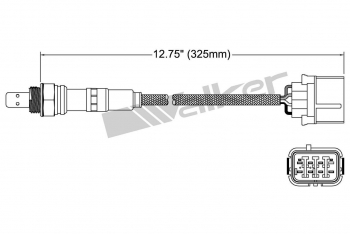 Oxygen Sensor