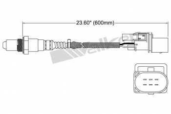 Oxygen Sensor