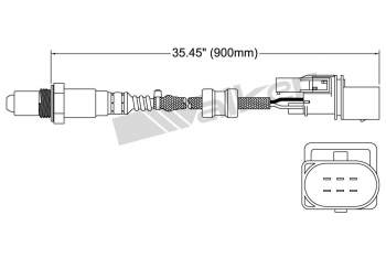 Oxygen Sensor