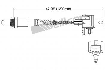 Oxygen Sensor