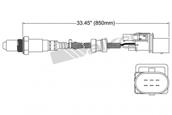 Oxygen Sensor