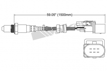 Oxygen Sensor