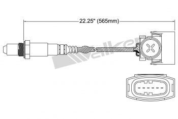 Oxygen Sensor