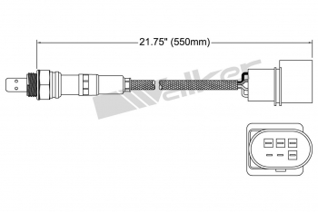 Oxygen Sensor