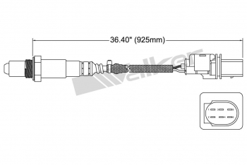 Oxygen Sensor