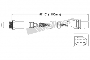 Oxygen Sensor