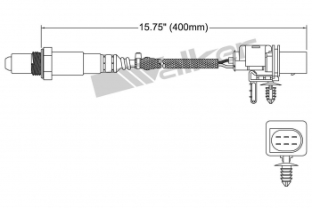 Oxygen Sensor