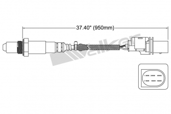 Oxygen Sensor