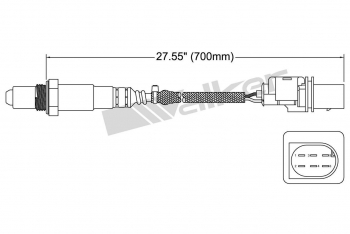 Oxygen Sensor