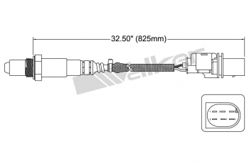 Oxygen Sensor