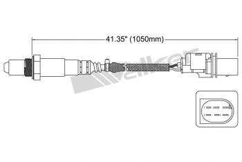 Oxygen Sensor