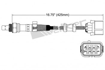 Oxygen Sensor