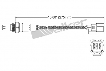Oxygen Sensor