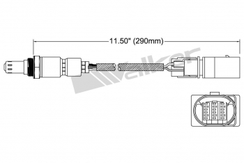 Oxygen Sensor