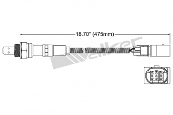 Oxygen Sensor