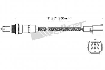Oxygen Sensor