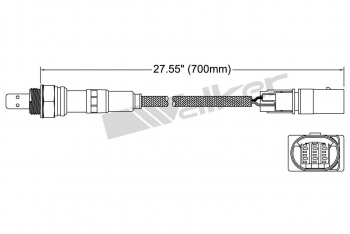 Oxygen Sensor