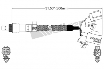Oxygen Sensor
