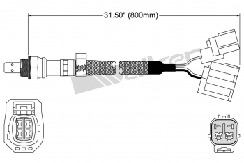 Oxygen Sensor