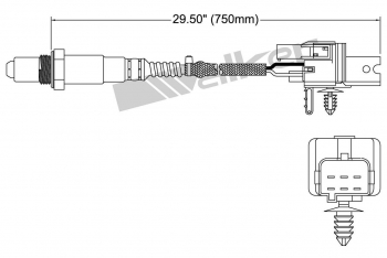 Oxygen Sensor