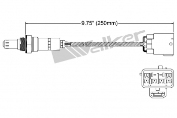Oxygen Sensor