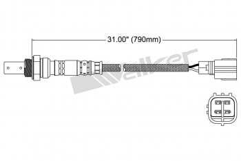 Oxygen Sensor