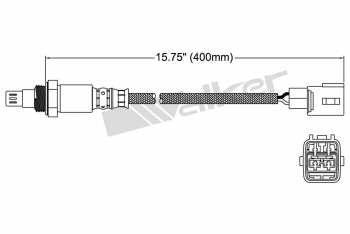Oxygen Sensor