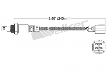 Oxygen Sensor