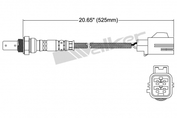 Oxygen Sensor