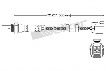 Oxygen Sensor