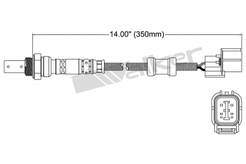 Oxygen Sensor