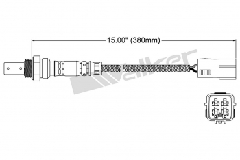 Oxygen Sensor