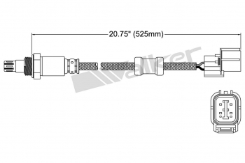 Oxygen Sensor