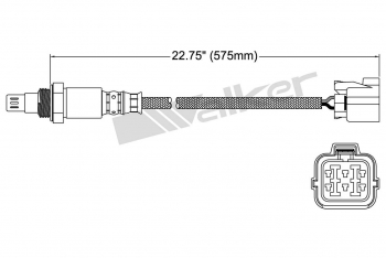 Oxygen Sensor